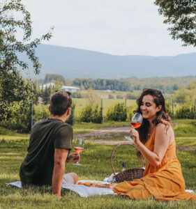 Read more about the article Vignobles autour de North Hatley : lesquels visiter, et quand y aller