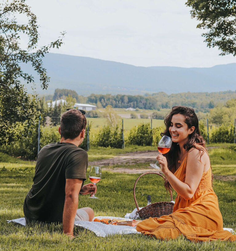 Read more about the article Vignobles autour de North Hatley : lesquels visiter, et quand y aller